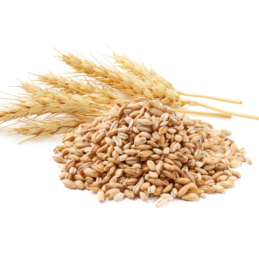 Whole Wheat