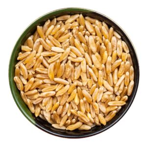 MP Wheat
