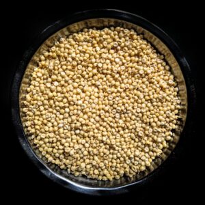Jowar (Sorghum)