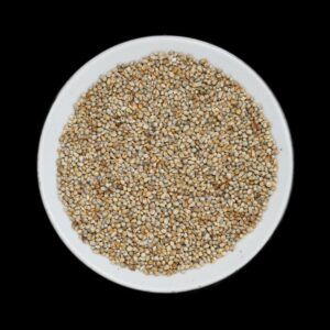 Bajra (Pearl Millet)